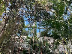 -国家植物园南园