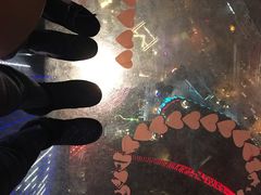 -339旋转餐厅(天府熊猫塔店)
