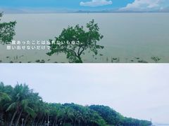 -深圳湾公园(南山区)