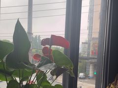 -湘轩·土菜研究院(光大店)