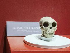 -国家自然博物馆