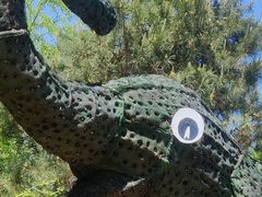 -长白岛森林公园