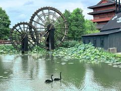 -东台西溪天仙缘景区