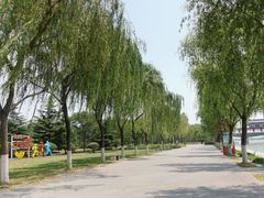 -咸阳湖景区-古渡公园