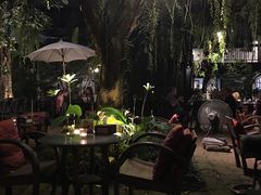 -Fern Forest Cafe