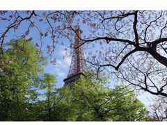 -埃菲尔铁塔