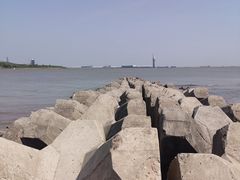 -上海滨江森林公园