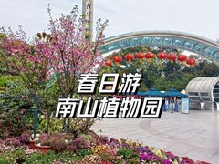 -南山植物园