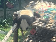 -大连森林动物园