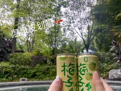 -海兰云天度假区温泉