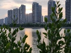 -五缘湾湿地公园