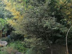 -聚缘堂·海鲜私房菜(松岭路店)