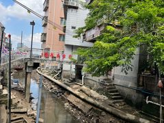 -长洲岛