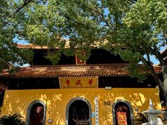 -亭林园-华藏寺