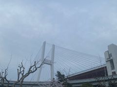 -上海黄浦旅游集散站售票处