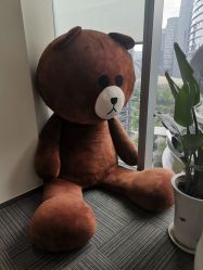 -贞禾医美·连锁