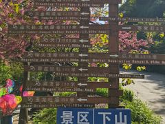 -西安祥峪森林公园