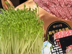 -番食园鲜食火锅(高新店)