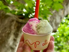 -Dip in Gelato(富民路店)
