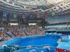 -海合安成都极地海洋公园