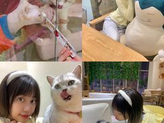 -藏猫猫咖啡主题馆(中央大道店)