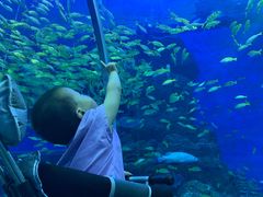 -成都浩海立方海洋公园