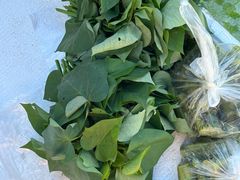 -东天目山风景区