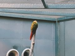 -正佳雨林生态植物园