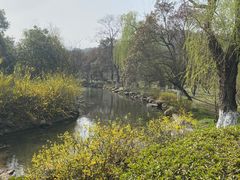 -白马涧龙池景区