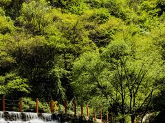 -少华山国家森林公园
