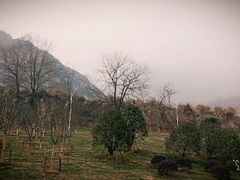 -铜陵市铜官山森林公园