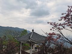 -广州市石门国家森林公园