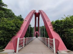 -玉树公园