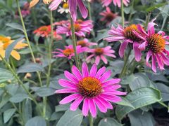 -汉长安城未央宫国家考古遗址公园