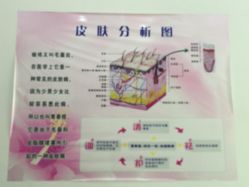 -荟草堂痘肌修护中心