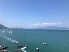 -杨梅坑