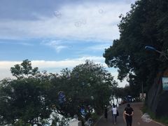 -团城山公园
