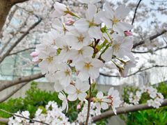 -西北湖绿化广场