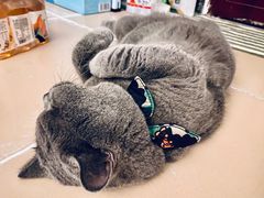 -KKV(深圳宏发大仟里店)