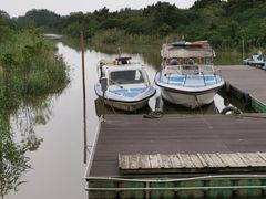-野狸岛