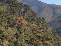 -东天目山风景区