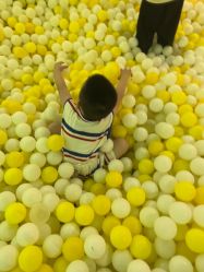 -宝燕乐园(闵行旗舰店)