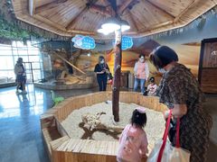 -昆明大悦城未来动物城(螺蛳湾中心店)