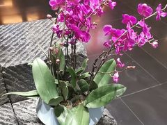 -黔蘑菇四季餐厅(观山湖店)