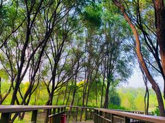 -张家湾公园