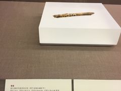 -北京大学赛克勒考古与艺术博物馆