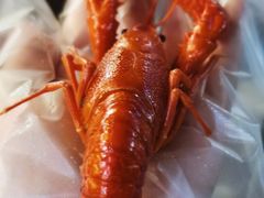 -红钳侠小龙虾·烧烤(中赢康康谷店)