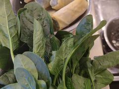 荠菜百叶包-月圆火锅(宁海东路二店)