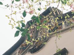 -深圳国际园林花卉博览园