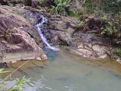 -广州白江湖森林公园